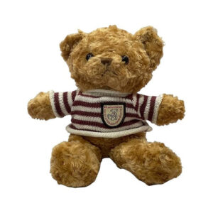 Soft T-shirt Teddy Bear (12pcs) Â©